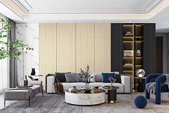 崇左轻奢风格-客厅